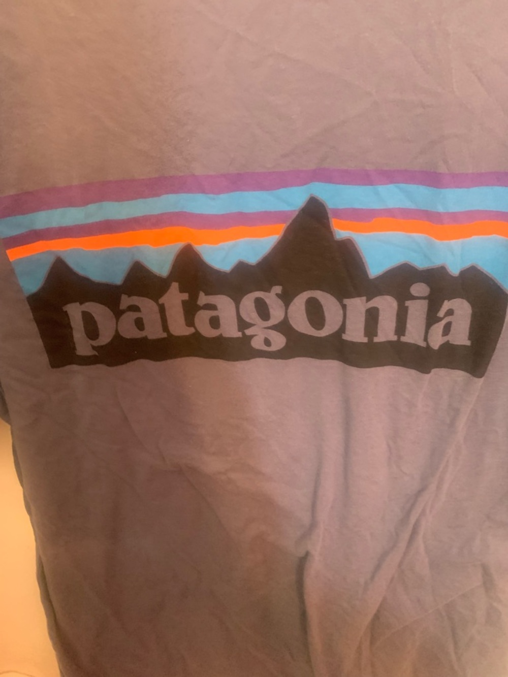 Patagonia Soft Indigo Logo Tee